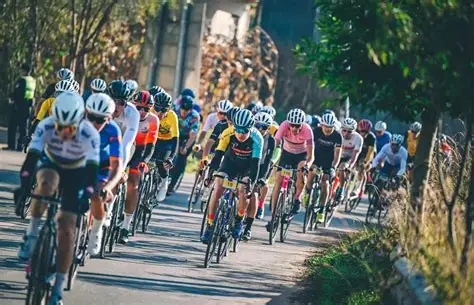 星空体育(中国)官方网站 - STAR SPORTS