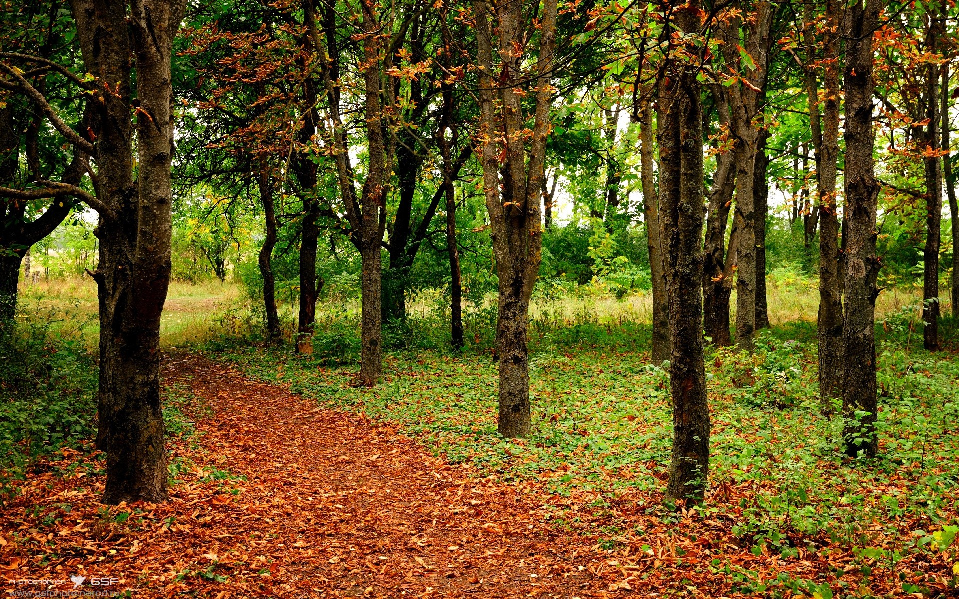 星空体育中国官网-瓦朗谢纳客场轻取对手，保持不败势头，瓦朗谢纳 vs 尼奥尔