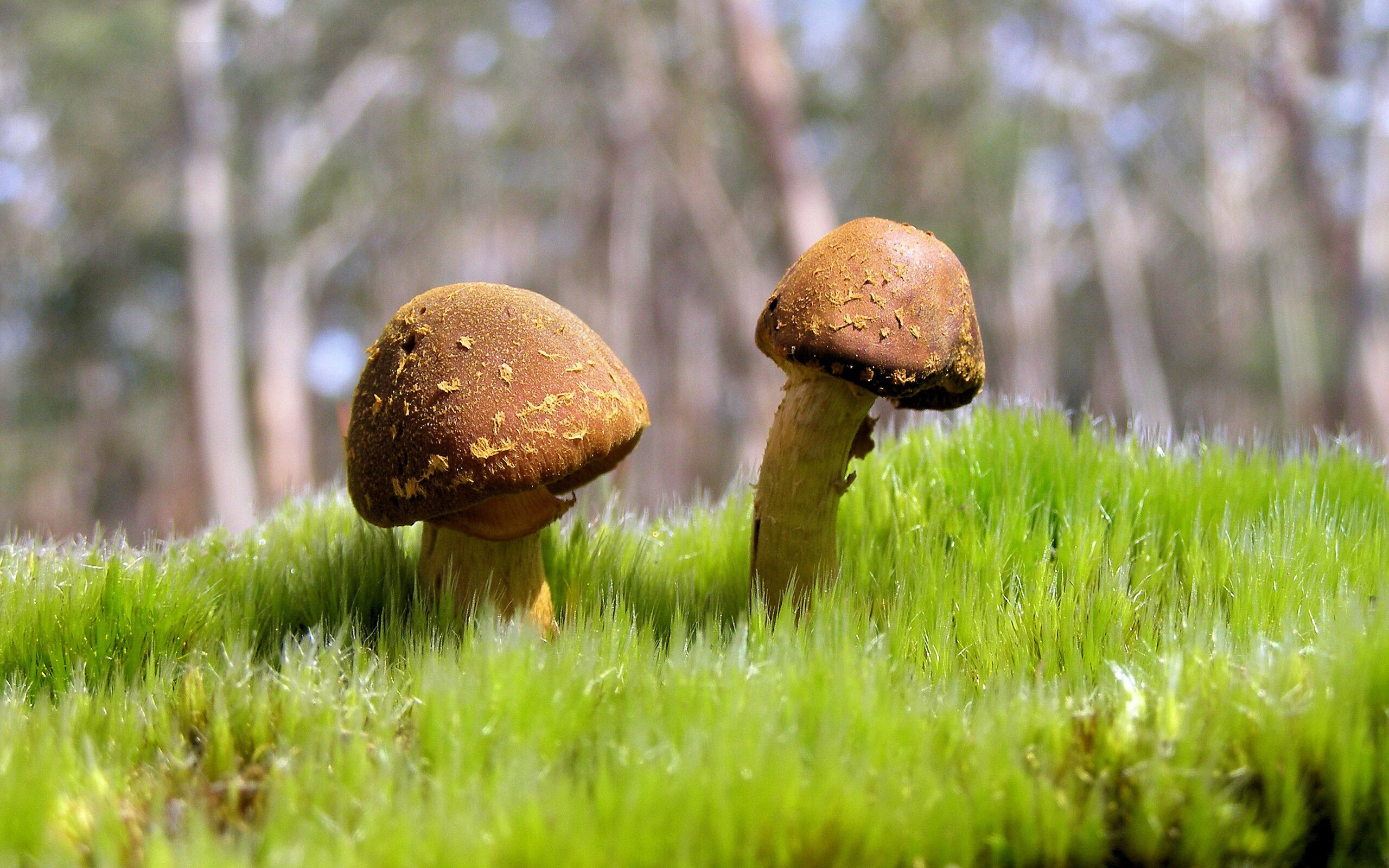 星空体育app-皇马遭遇拜仁逆转，遗憾无缘欧冠四强，皇马和拜仁欧冠比赛视频