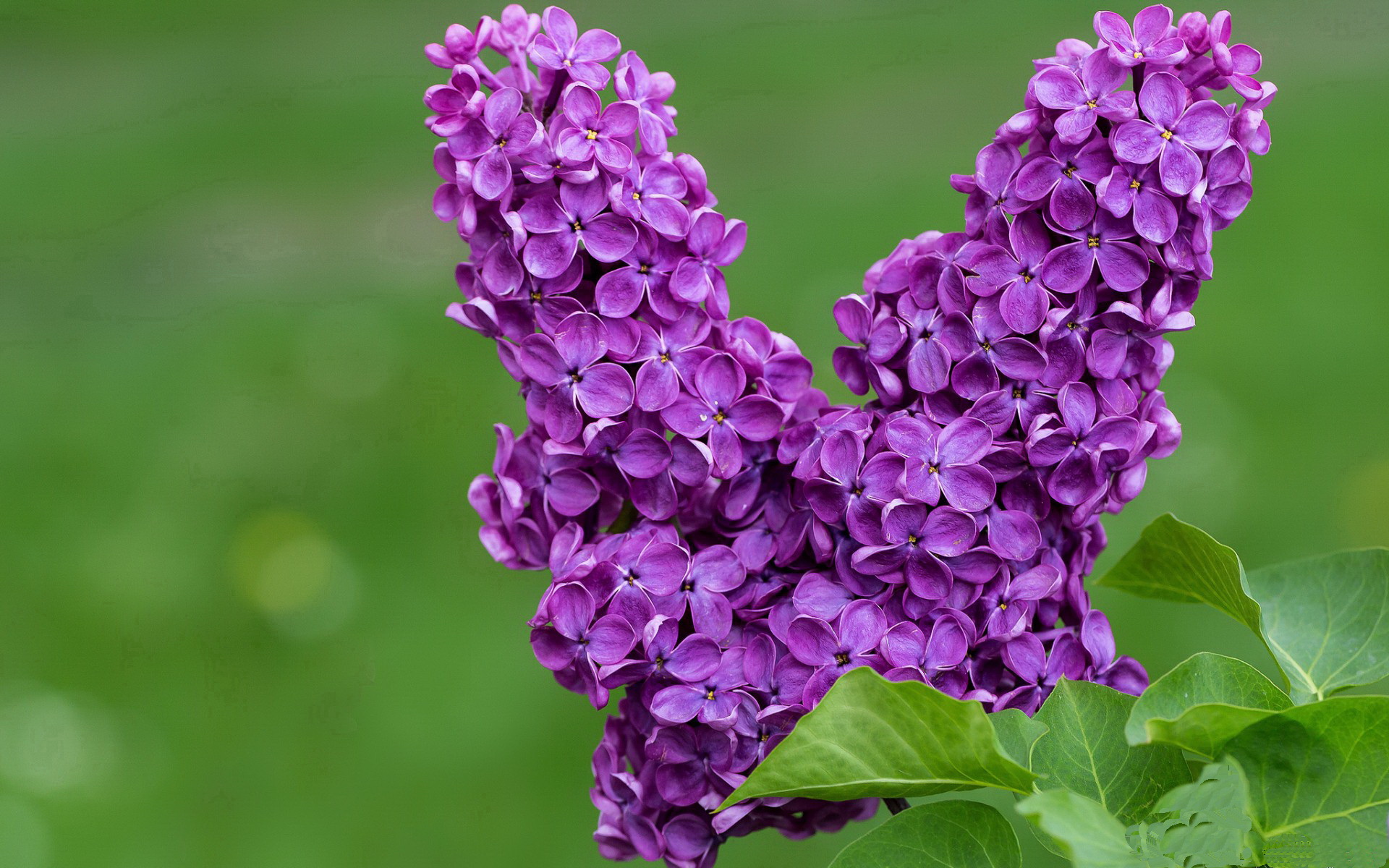 角逐激烈！欧预赛中的对抗焦点激荡人心，欧预赛推荐