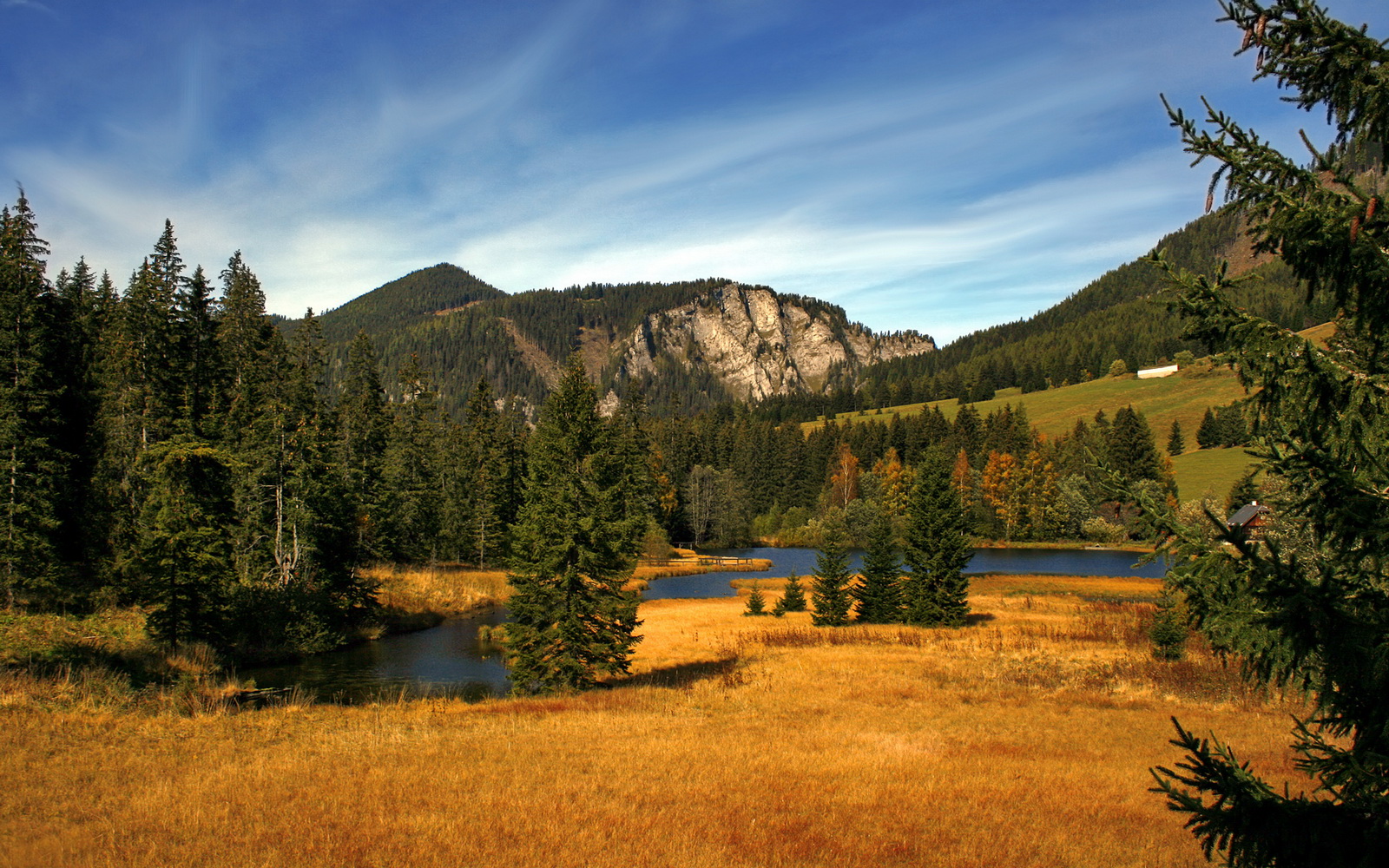 韩国队力求在篮球比赛中取得突破，韩国篮球联赛水平怎么样