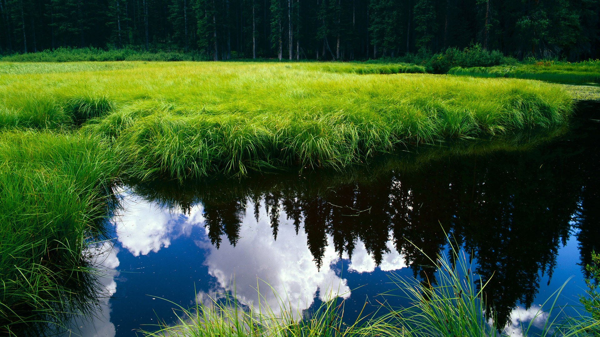 中国女足世界杯备战加速 战术演练成重点，中国女足世界杯2022