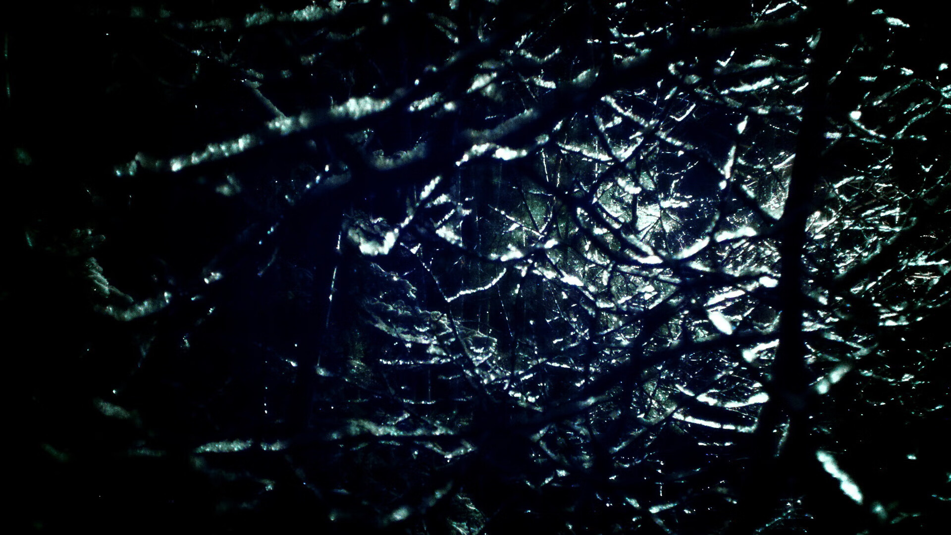 勇士新秀参加社区篮球活动赢得球迷喜爱，nba勇士新秀